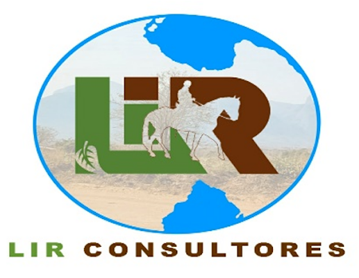 Lir Consultores
